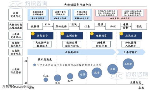 《中國(guó)商業(yè)大數(shù)據(jù)服務(wù)行業(yè)藍(lán)皮書》發(fā)布 洞見未來(lái)，數(shù)據(jù)賦能社會(huì)經(jīng)濟(jì)咨詢新篇章